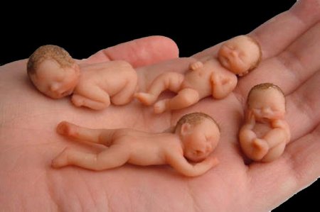 génocide 215 génocide 215