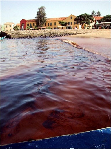 génocide pétrole génocide pétrole