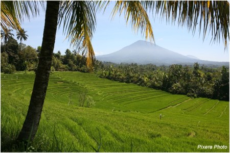 9 354954-IMG_1545-border